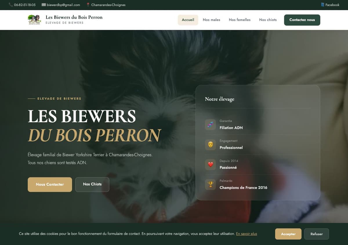 Capture d'écran du site Les Biewers du Bois Perron, élevage Biewer Yorkshire