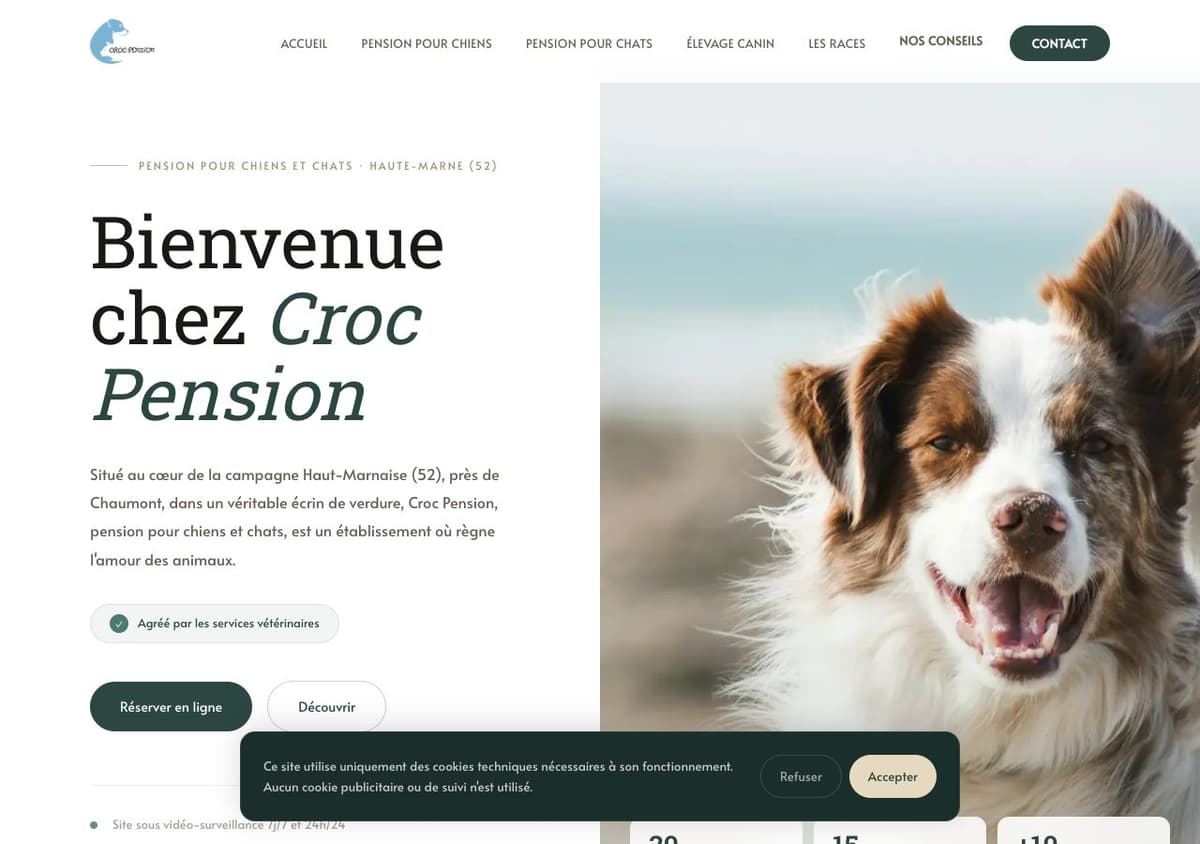 Capture d'écran du site Croc Pension, pension canine et féline